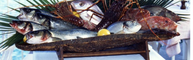 Rien de tel qu'un plateau de fruits de mer en été