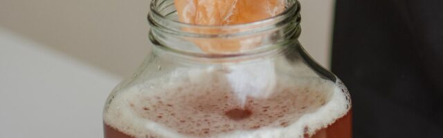 fermentation